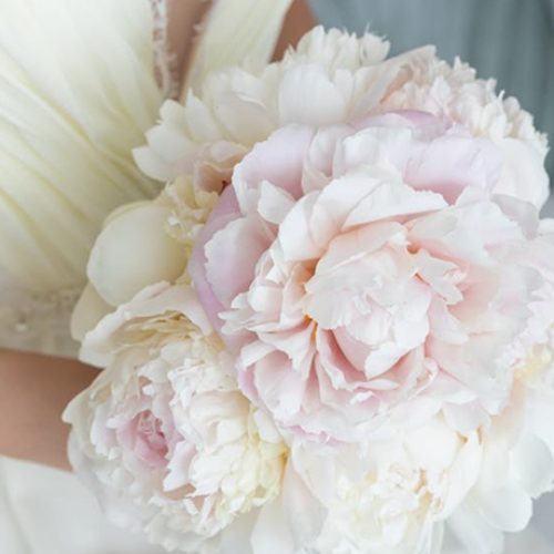 VISION® – 147 DAYTONA Hyper Silver